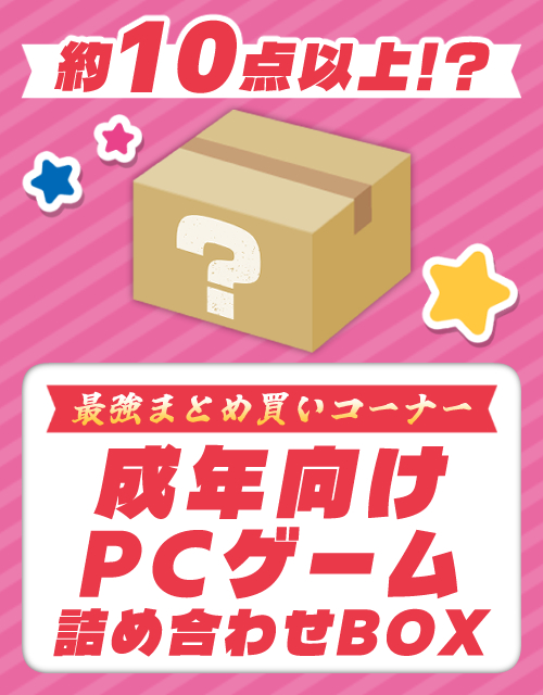 成年PCゲーム