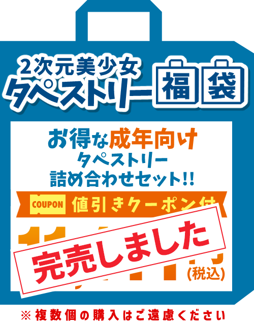 【2026福袋】成年向けタペストリー 11,111円福袋