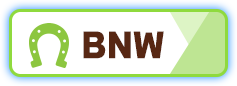 BNW世代